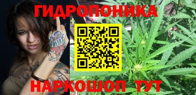 амф Заволжье