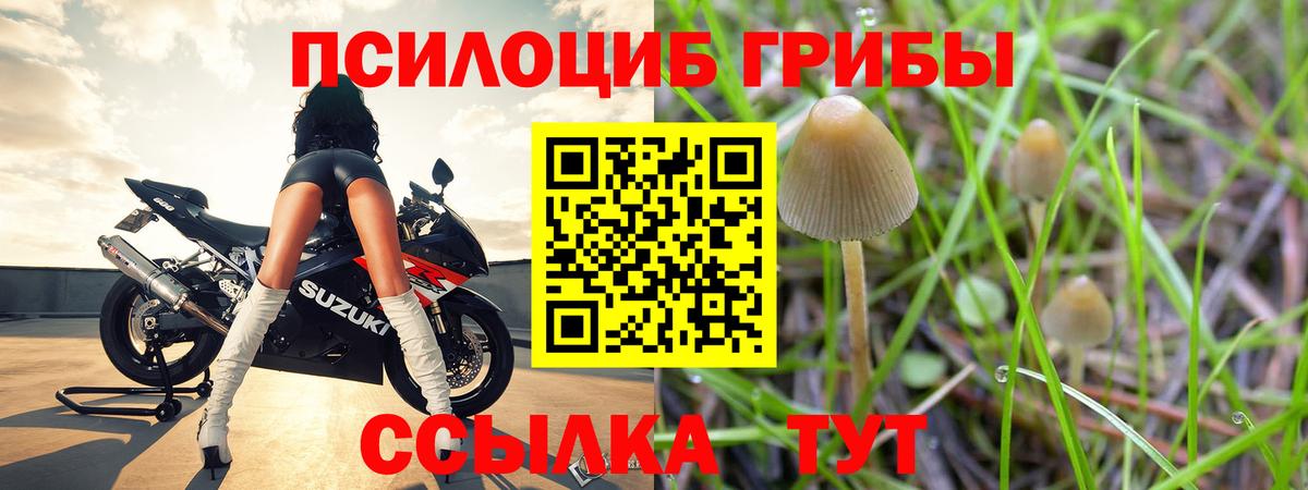 Кумертау  Псилоцибиновые грибы GOLDEN TEACHER  Галлюциногенные грибы MAGIC MUSHROOMS  Вход с VPN 